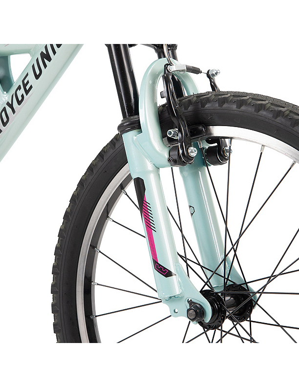 Royce union 2000 mountain bike hotsell