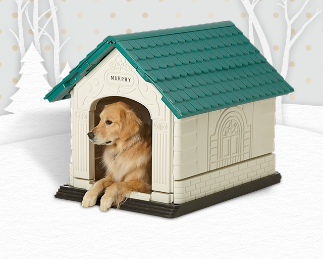 golden retriever in a dog house